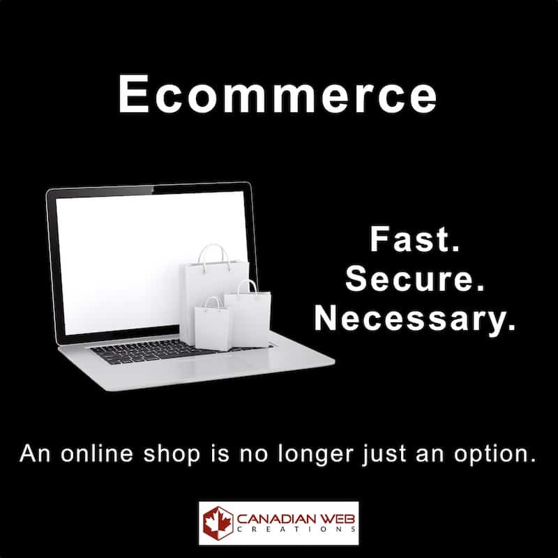 Ecommerce Websites